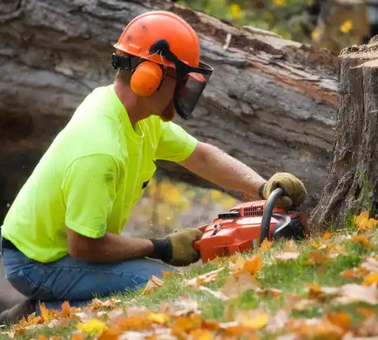 tree services Roslyn Harbor